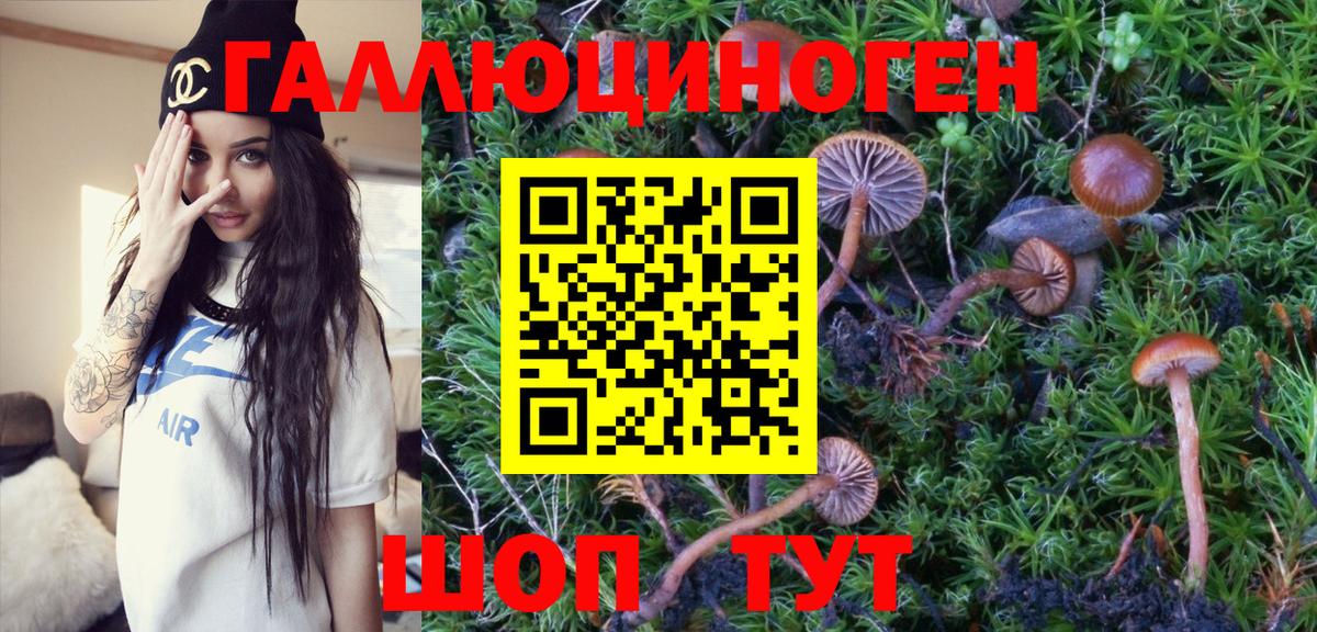Псилоцибиновые грибы мухоморы  Псилоцибиновые грибы MAGIC MUSHROOMS  Вход с VPN  Снежинск 